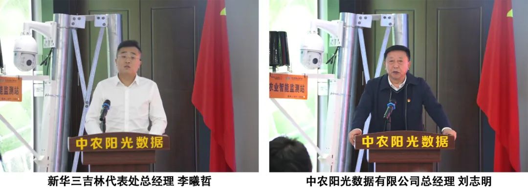 圖片 圖片